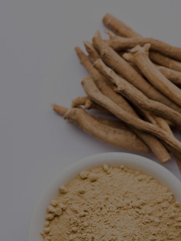 Ashwagandha: ein wertvoller Verbündeter gegen Stress