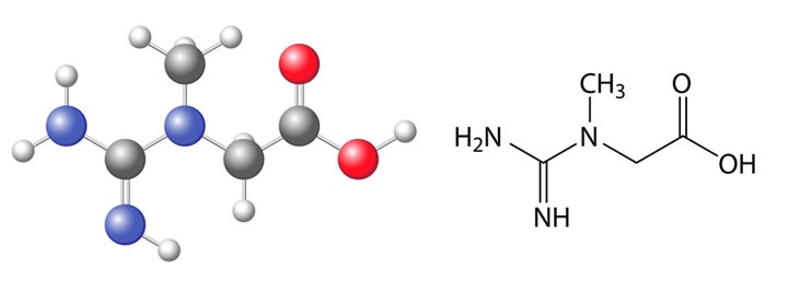 Creatina formula chimica