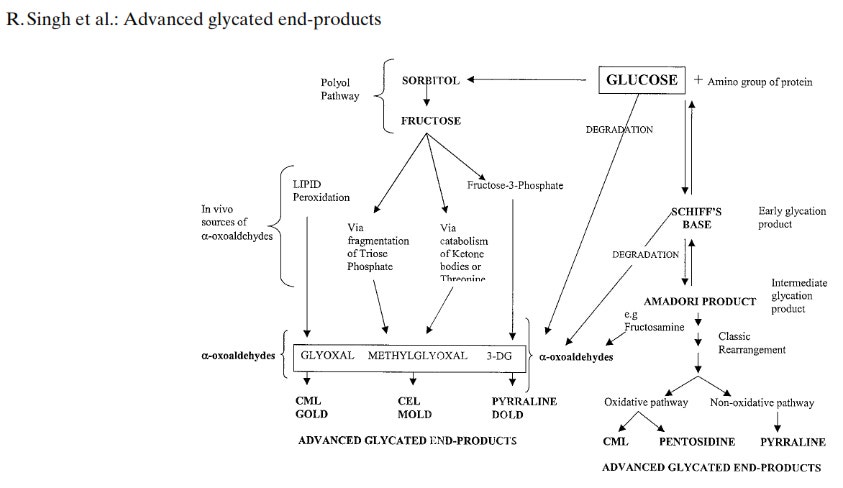 Erweiterte Glykationsprodukte