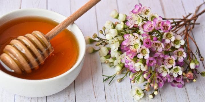 Manuka-Honig